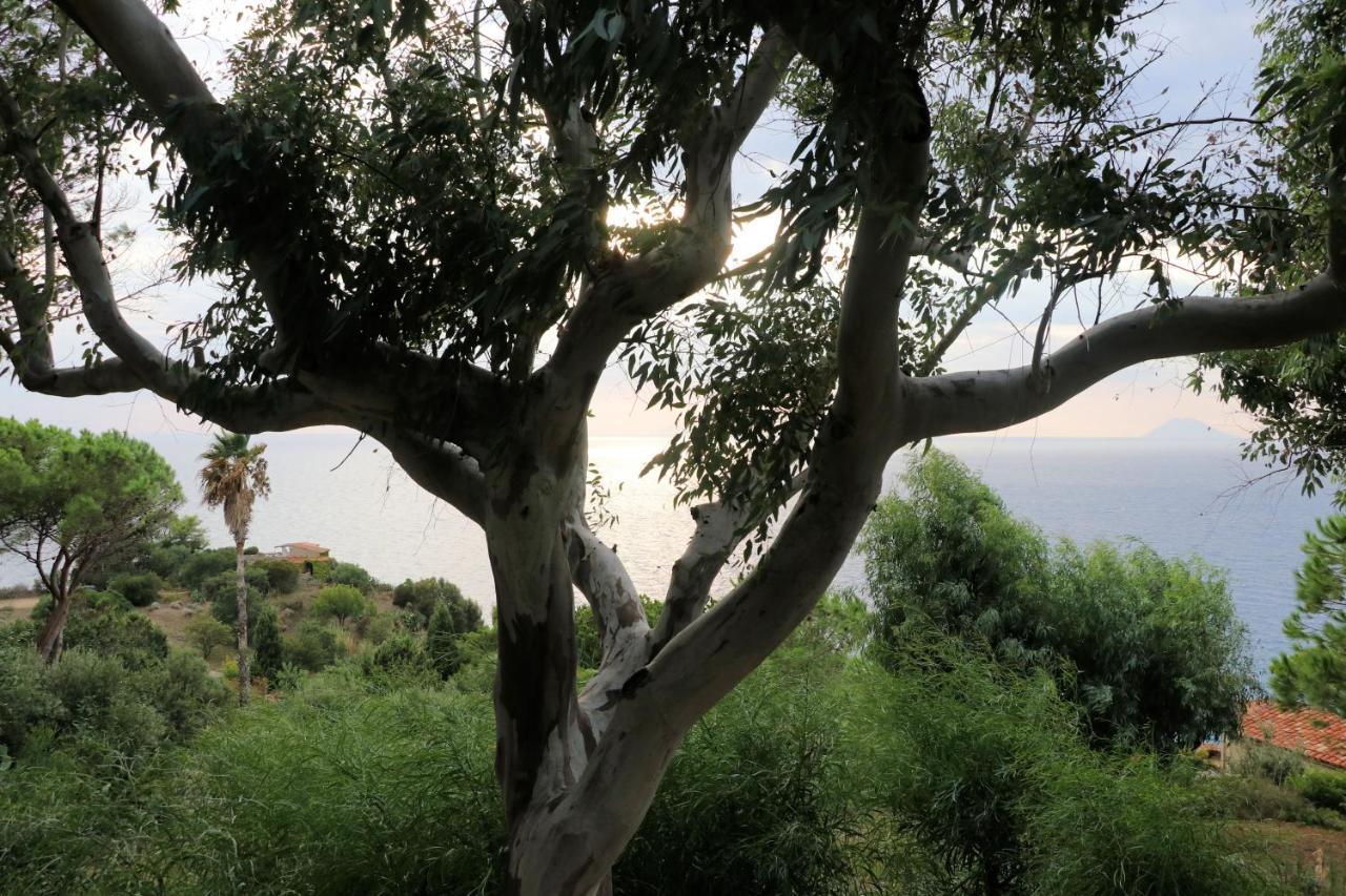 Case Di Berto Capo Vaticano Exterior photo